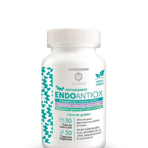 83559185-db0e-4916-a112-c81ba83b2f74.png Endo Antiox - 30 Capsulas / Wellplus - Imagen 1