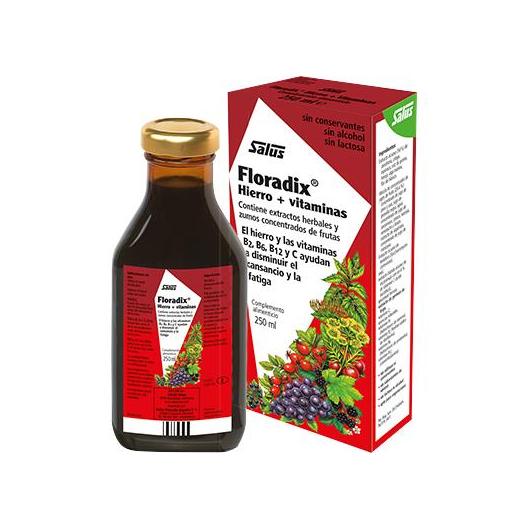 294ef5c1-711e-11ea-8d93-0603130a05b8-3.jpg Floradix Floravital Hierro + Vitaminas - 250ml / Salus - Imagen 1