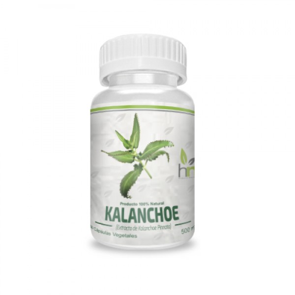 2d92fced-711e-11ea-8d93-0603130a05b8-3.jpg Kalanchoe 500mg - 90 capsulas / Health Natural - Imagen 1